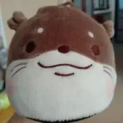 チックの画像