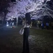 ナの画像