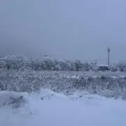 あの画像