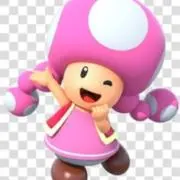 ☆キノピコ｜匿名配送☆の画像