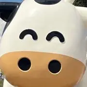 ヤヌ⭐︎超〆ルカリ市限定大特価⭐︎の画像