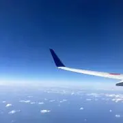 ハピの画像