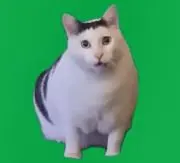 りぃの画像