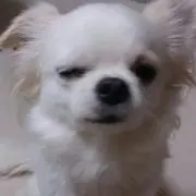 ☆☆ケイティ☆☆