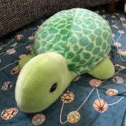 はらみーと【プロフ確認お願いします。】の画像