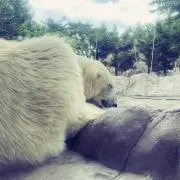 M...の画像