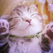 ぼん