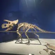カルマくんの画像