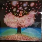 たんこ