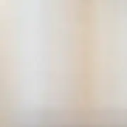 eleven