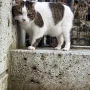 この前さ