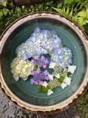 はなはな　プロフィール確認をの画像