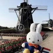 umeの画像