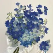 れあの画像