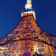 りまの画像