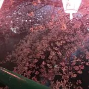たまご