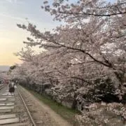 ⭐︎の画像