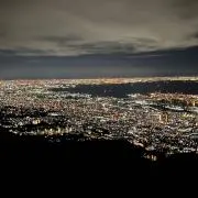 すぎの画像