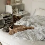 Mの画像