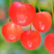✿さくらママ✿引越し断捨離セール中ですの画像