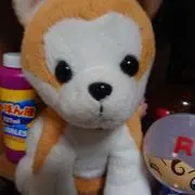 アッキー