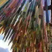 鉛筆✏️お盆残暑セール！断捨離中！の画像