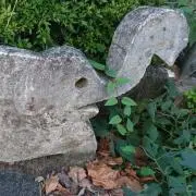 えりくん