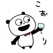 いるかの画像