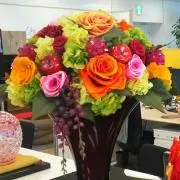 くまの画像