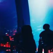 T.Nの画像