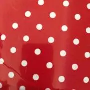 もっちの画像