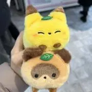 星野桃の画像