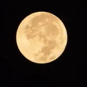 鈴木