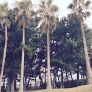 カオリ