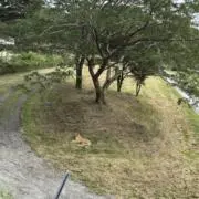 あきの画像