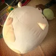 gtofukaの画像