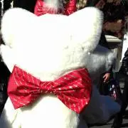 ぴょん！