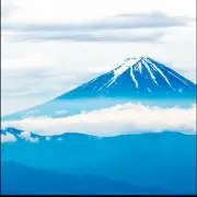 さーちゃんの画像