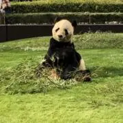 やましたの画像