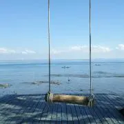 さくら