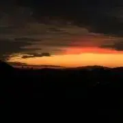 いかっこの画像