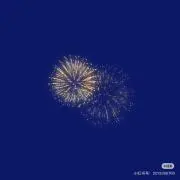 ニコの画像
