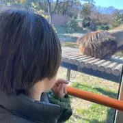 キューの画像
