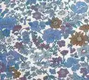 BlueSkyの画像