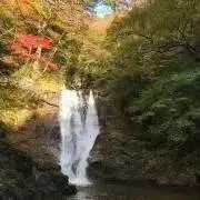 ちーたんの画像