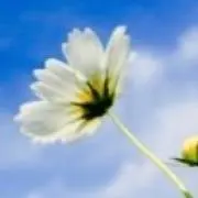 らら