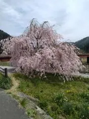 ヒッシッシーの画像