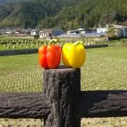 まるこの画像