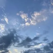 ちいらんの画像