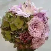 flowerの画像